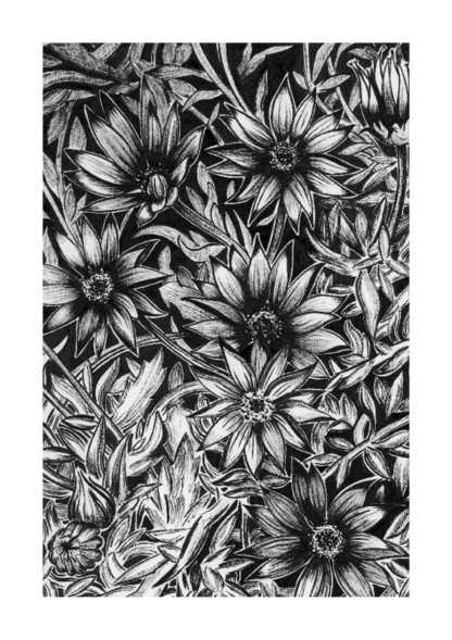 Bland and white print of hand painted daisies.