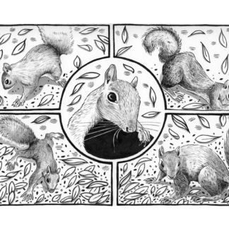 Black and white brush drawing of a squirrel across 5 cartoon frames.