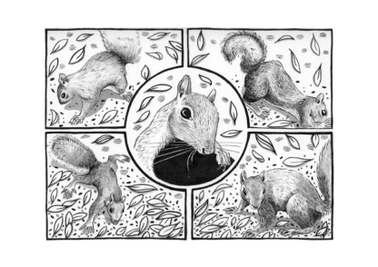 Black and white brush drawing of a squirrel across 5 cartoon frames.